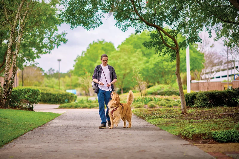 Service Dog Grayson and Davey